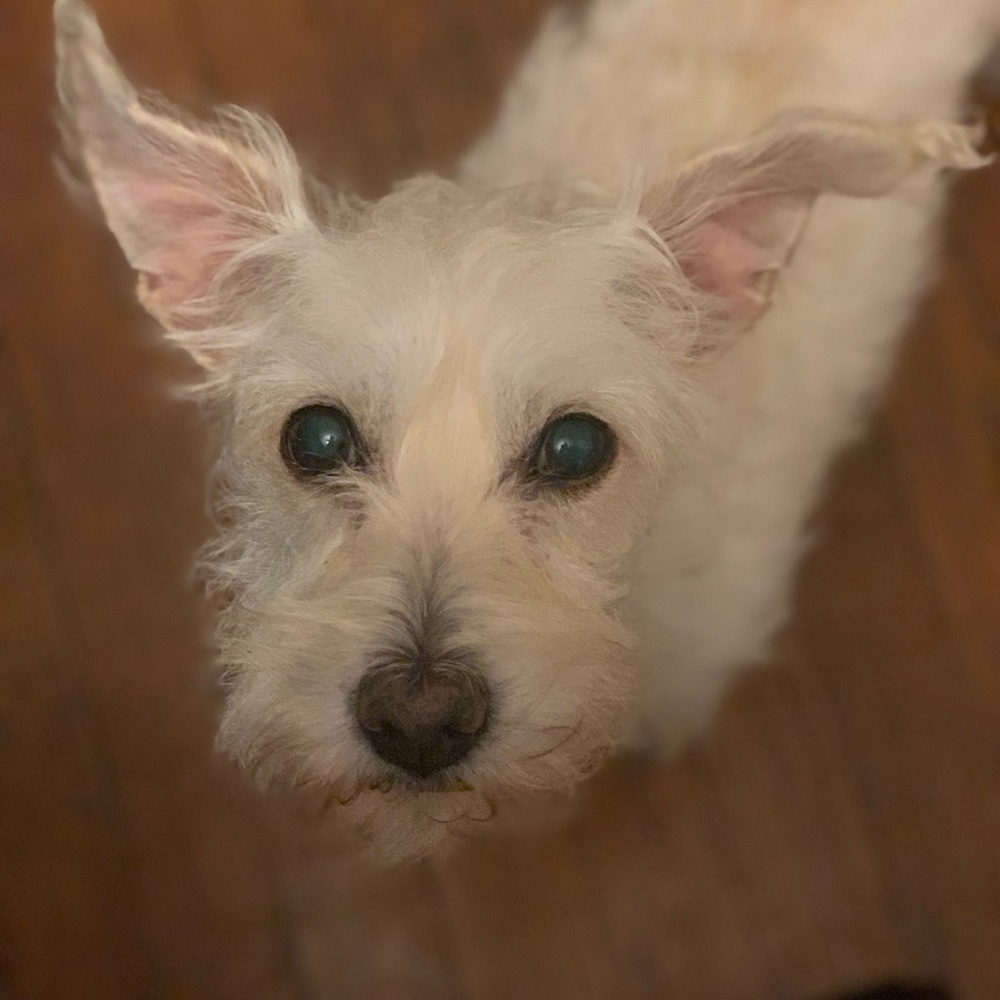 Meet your Posher, Margaret